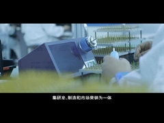 নতুন ব্যানার